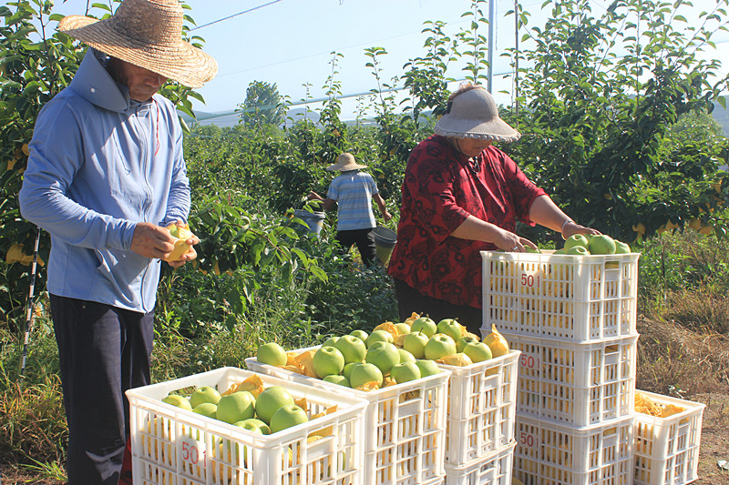 ��ó������Ѕ^(q��)ǰ�����@�����@���������ˣ�